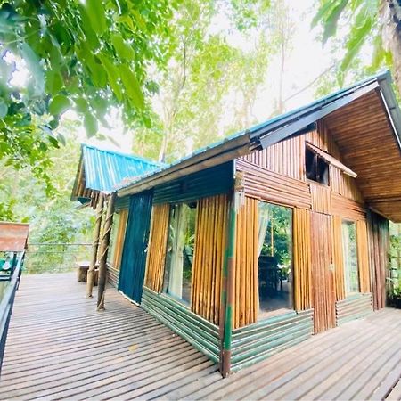 Khao Sok Tree House Resort Khao Sok National Park Εξωτερικό φωτογραφία