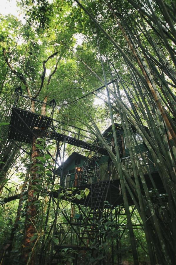 Khao Sok Tree House Resort Khao Sok National Park Εξωτερικό φωτογραφία