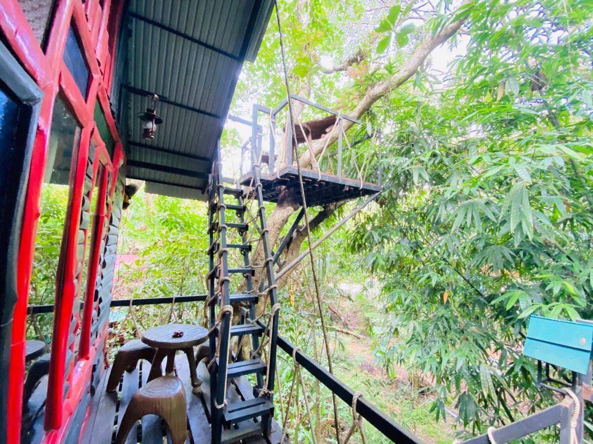 Khao Sok Tree House Resort Khao Sok National Park Εξωτερικό φωτογραφία