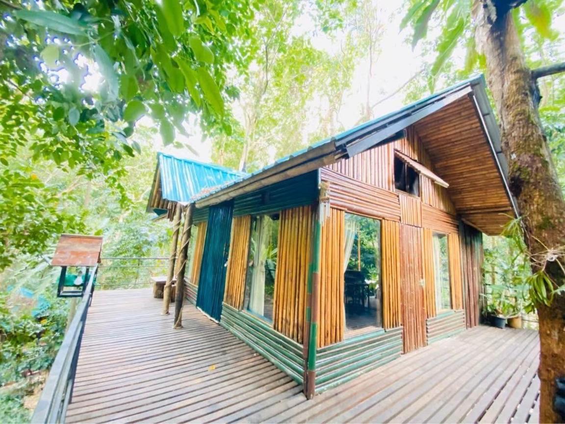 Khao Sok Tree House Resort Khao Sok National Park Εξωτερικό φωτογραφία