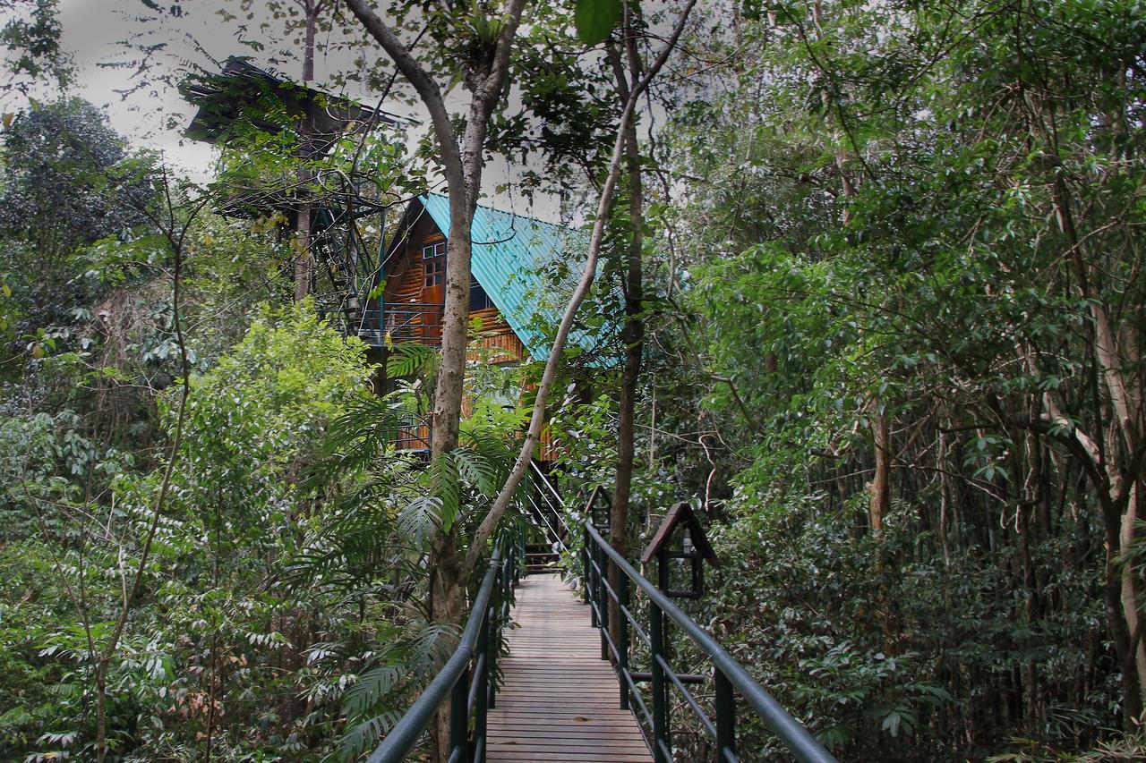 Khao Sok Tree House Resort Khao Sok National Park Εξωτερικό φωτογραφία