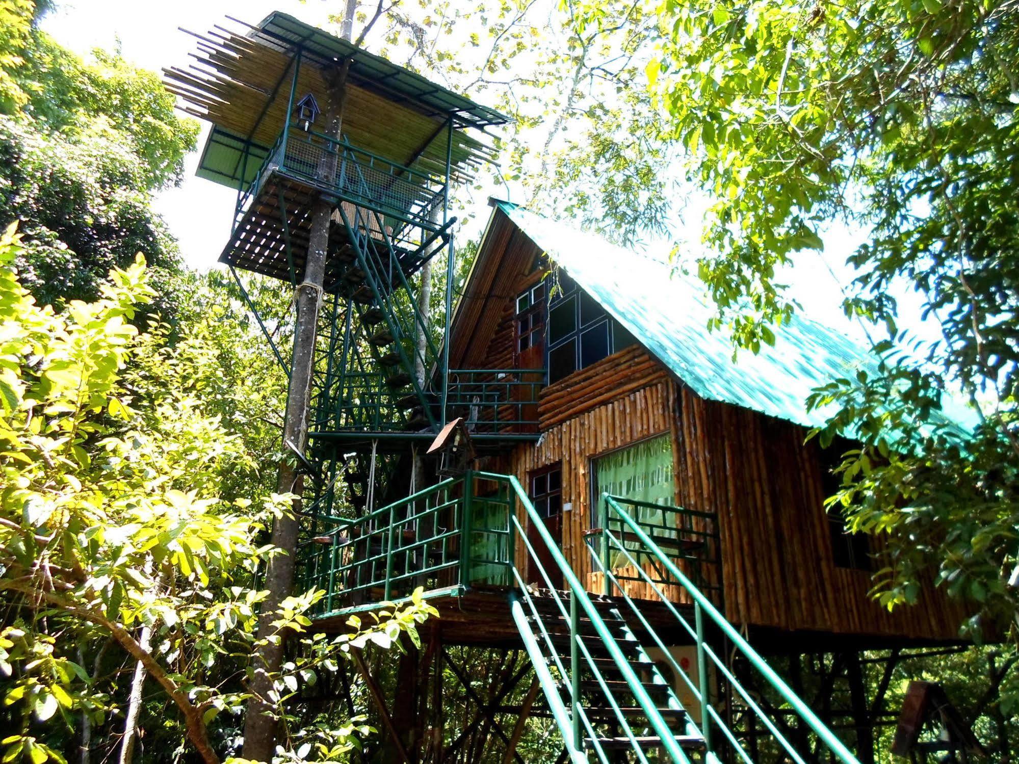 Khao Sok Tree House Resort Khao Sok National Park Εξωτερικό φωτογραφία