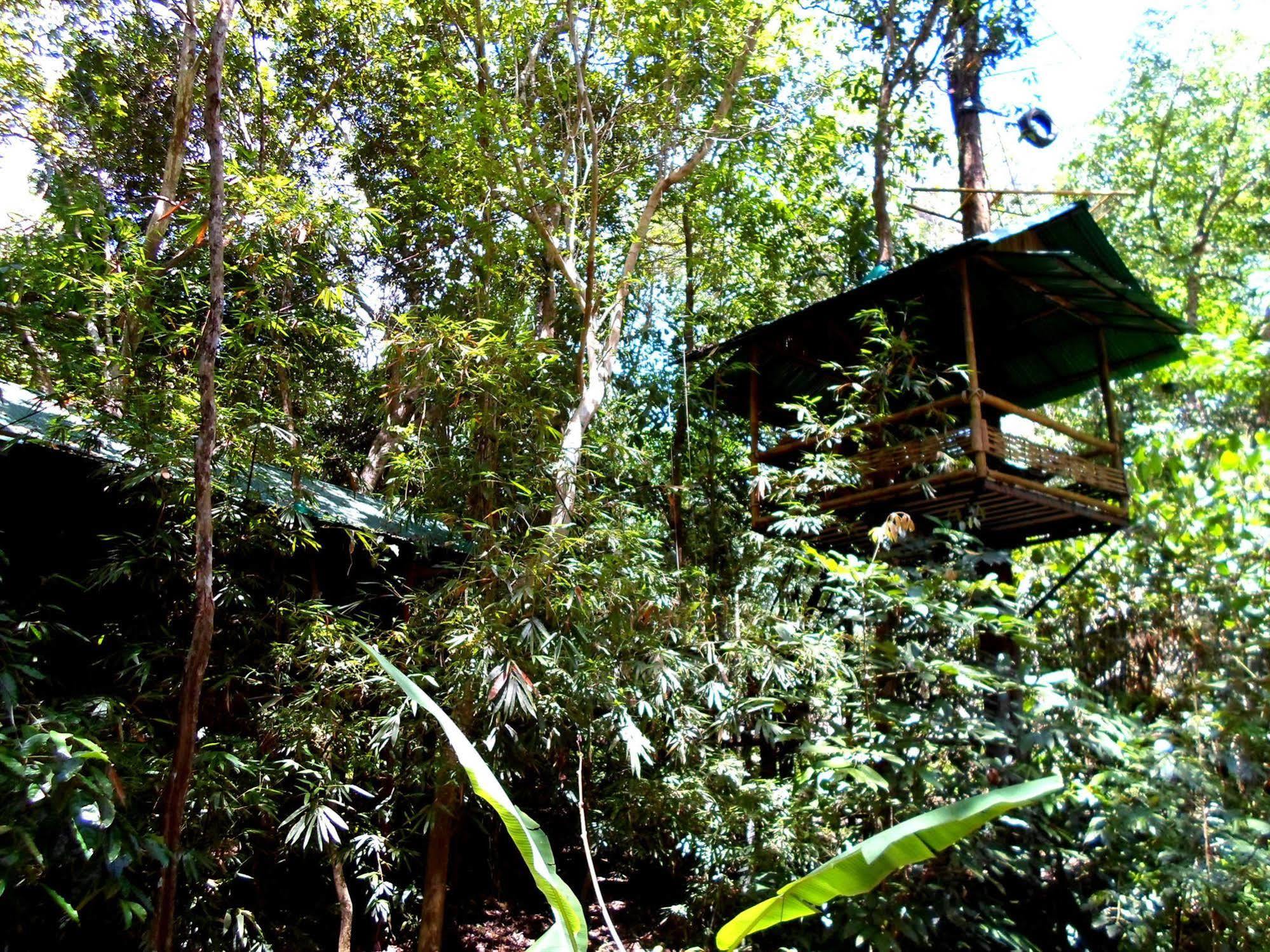 Khao Sok Tree House Resort Khao Sok National Park Εξωτερικό φωτογραφία