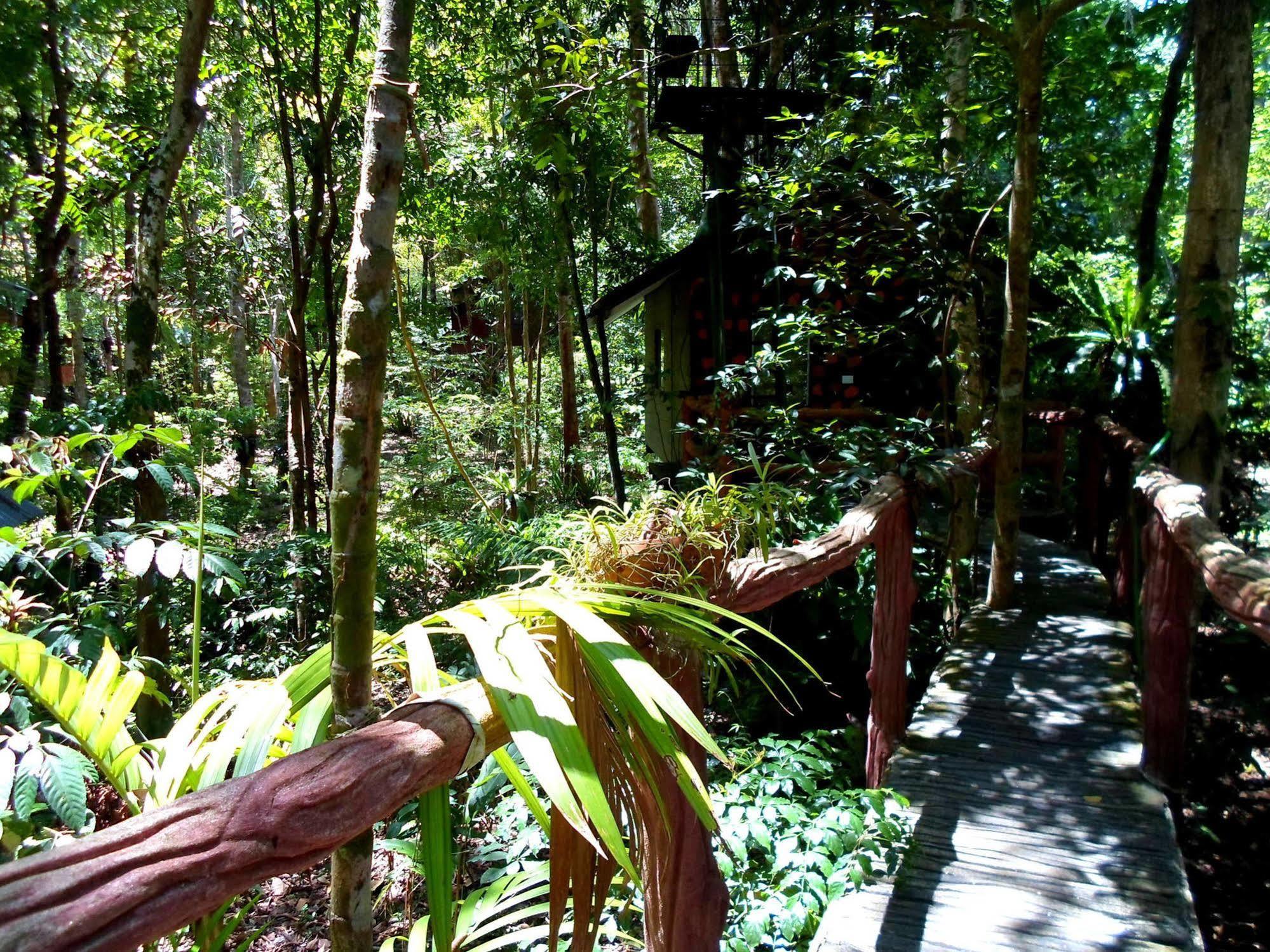 Khao Sok Tree House Resort Khao Sok National Park Εξωτερικό φωτογραφία
