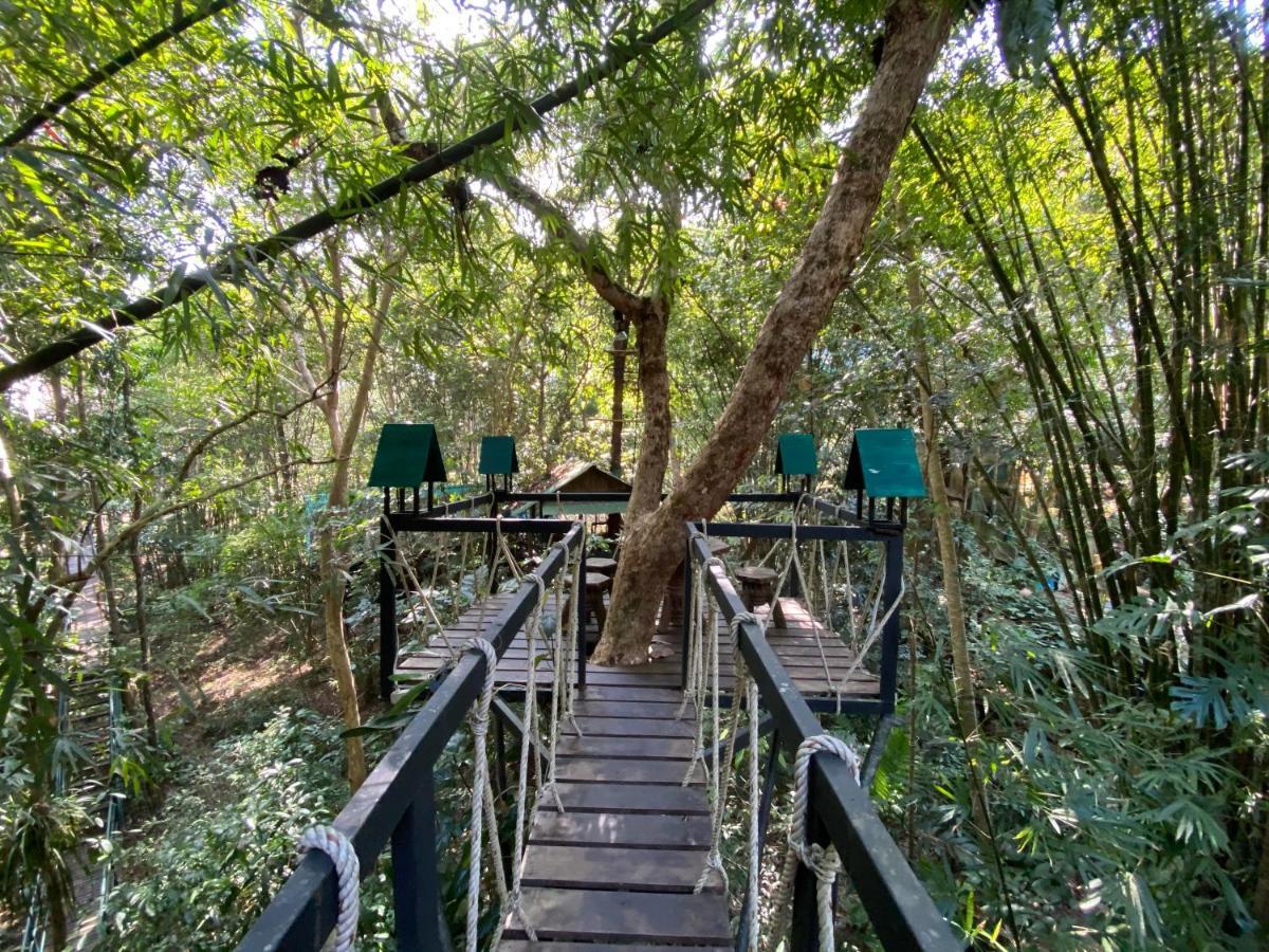 Khao Sok Tree House Resort Khao Sok National Park Εξωτερικό φωτογραφία